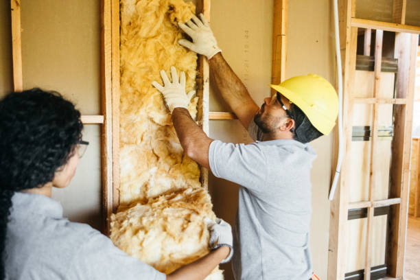 Best Garage Insulation  in Kaneohe, HI